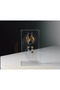 3-Piece Acrylic Earring Stand, Stud Earring Display Holder, Acrylic Minimalist Jewelry Display Holder - 3