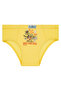 Boy's 5 Pack Colorful Slip Panties - Rockstar Dino - - 5