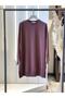 Plain Model Brown Sweatshirt 30644