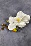 Orchid Scalloped Outer Shoot Bridal Hair Clip - 2