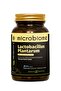 Lactobacillus Plantarum 30 Kapsül