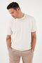 Cotton Crew Neck Regular Fit Basic T Shirt Men's T SHIRT5902767 - 6