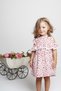 Fruit Printed Cotton Terikoton Sleeve Fisto Detail Girl's Summer Dress Mnk0406 Red