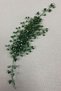 Yeşil Deren Bridal Tiara and Hair Accessory - 4