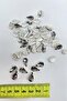 Bright Glass Drop Beaded - Anthracite Gray Case 10 Pieces - 2