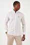 U.S. Polo Cotton Regular Fit Buttoned Collar Shirt Men's SHIRT G081SZ0041837945 - 4