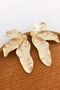 Palm Leaves Gold Earrings - 3