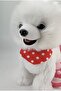 Nisa Toys Cute Dog with Barking Walking Leash Birthday Gift for Children - 4