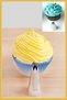 Stainless Steel Cream Piping Bag Tip (whipping bag tip, holder) 1 Piece + 2 Whipping Bags