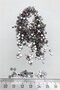 Lilac Iron-On Glass Stone Beads 25 Gr – Beads - 2
