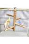 Perch That Can Be Used on the Top of the Cage or Inside the Cage