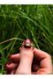 Natural Stone Labradorite Natural Rhinestone Antique Adjustable Women's Ring - 3