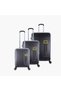 Canyon Luggage Set Metallic Black