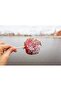 Christmas Cookie Lollipop Cake Cakepops Making Kit 201 Pieces Bag Red Ribbon Lollipop Stick - 5