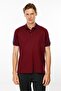 Men's Polo Collar T-Shirt with Shoulder Stripes, Burgundy