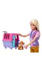 Hrg50 Veterinary Mini Play Set - 3