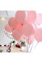Powder Pink Balloon 20 Pieces - 3