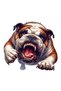 Aggressive Bulldog Sticker Car, Motorcycle, Helmet, Laptop, Glass Sticker 13X11 cm