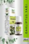 Eucalyptus Oil - 20 ml for Sinusitis