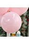Powder Pink Balloon 20 Pieces - 2