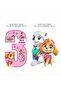 Paw Patrol Skye 3 Year Old Birthday Party Pack - 5