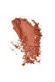 Luminous Silk Compact Blusher Powder Blush - 05 Desert Rose - 4