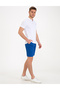 Cobalt Blue Standard Fit Bermuda Shorts 50233249-Vr045 - 2