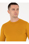 Safran Slim Fit Crew Neck Wool Blended Basic Knitwear Sweater 50257301-Vr043 - 4
