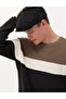 Brown Slim Fit Crew Neck Sweater 50259863-Vr163