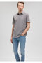 Gray Polo T-Shirt Regular Fit / Regular Fit0611921-83747