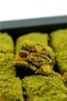 Pistachio Baklava Turkish Delight - 300g - 4
