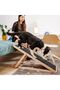 Adjustable Comfortable Dog Ramp, Practical and Convenient Use - 6