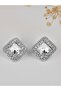 Small Square Zircon Stone Evening Dress Women's Earrings - 4