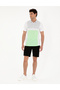 Black Regular Fit Knitted Shorts 50284172-Vr046
