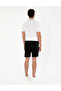 Black Regular Fit Knitted Shorts 50284172-Vr046 - 4