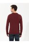 Burgundy Slim Fit Crew Neck Knitwear Sweater 50259797-Vr014 - 5