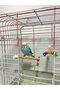 10 mm 12 cm Bell-equipped 2-Piece Bird Perch Set - 2