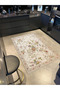 Cream Border Floral Themed Patterned Woven Base Carpet and Washable Carpet Miravip10237 - 2