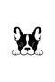 Dog Facing the Window Car Domestic Production A+ Quality Black 30 X 27 cm Durable