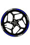 Honda White with Written Blue Reflective Paw Strip