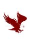 Eagle Design Auto Domestic Production A+ Quality Red 20*20 cm Durable