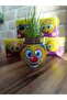 Grass Man 24 Pieces Individually Boxed Birthday Plant Growing Experiment Set for Children - 5