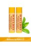 Beeswax Lip Care Cream Blister Packaging - Beeswax Lip Balm Blister 4,25 G X 2 Pieces
