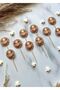Set of 10 1 Year Old Little Teddy Bear Themed Cupcake Toppers - Birthday Topper Set - 2