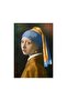 1000 Piece Puzzle - Girl With A Pearl Earring - 2
