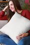 43x43cm White Thai Feather Upholstery Premium Fabric Decorative Double Sided Throw Pillow Pillowcase Krl026 - 7