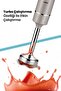 Projoy Silent 2 Stage Stainless Steel 1000w Hand Blender with 4 Blades - 3