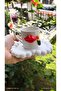 Coffee Color Presentation Cup - Makeup Themed Cup - 2