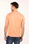 Ar-Ma Men's V-Neck T-Shirt Unprinted Basic Slim Fit Full Single Jersey Y22364451501 Pink-P2 - 4