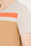 Men's Camel Crew Neck Knitwear Sweater 50264624 -Vr015 - 6